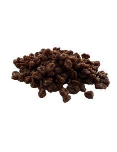 WOOLF WILDDOG SOFT BITES GANSO 100GR 2