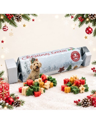 XMAS CRACKER DE NAVIDAD PARA PERRO 100GR