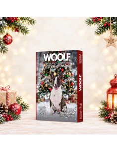 WOOLF CALENDARIO ADVIENTO NAVIDAD PERROS SNACKS 100GR 2