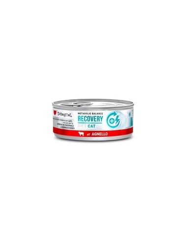 *RECOVERY* LAMB DISUGUAL DIET CAT CANNED CAT FOOD 85GR (12)