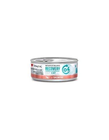 *RECOVERY* SALMON DISUGUAL DIET CAT CANNED CAT FOOD 85GR (12