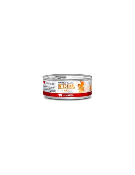 *INTESTINAL* BEEF DISUGUAL DIET CAT CANNED CAT FOOD 85GR (12